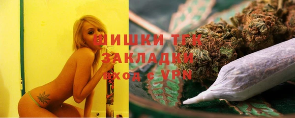 сатива Осинники