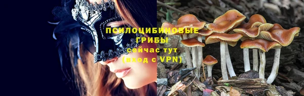 МДПВ Зеленодольск