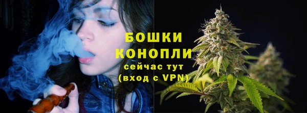 индика Остров