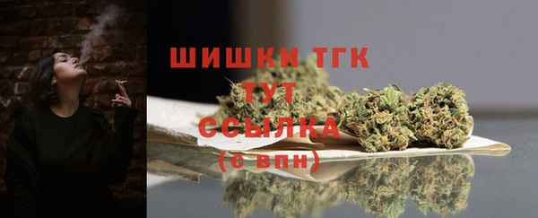 сатива Осинники