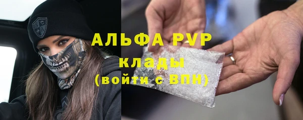 сатива Осинники