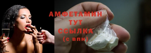 сатива Осинники