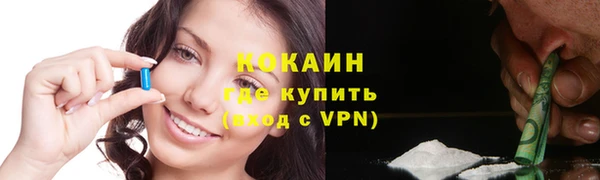 сатива Осинники