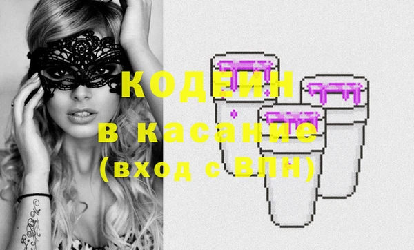 сатива Осинники