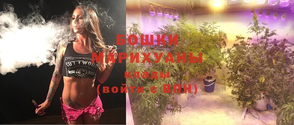 индика Остров