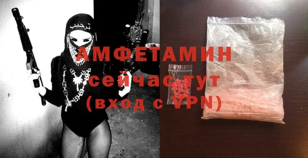 сатива Осинники