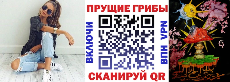 хочу наркоту  Судогда  Псилоцибиновые грибы Psilocybe 