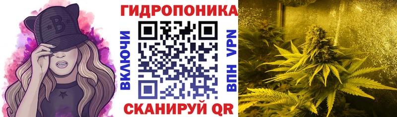 Шишки марихуана индика  хочу   Судогда 